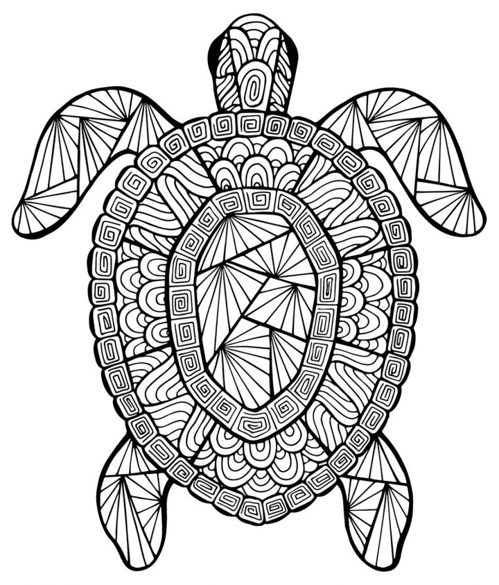 Coloriage De Tortue Pour Enfants – Coloriage De Tortues encequiconcerne Dessin Tortue À Imprimer