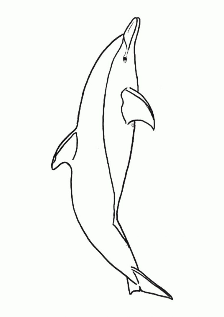 Coloriage Dessin Dauphins Sur Hugolescargot avec Dessin Dauphin À Imprimer