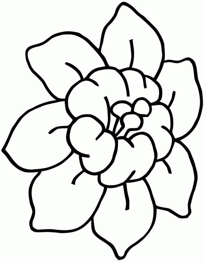 Coloriage Dessiner Fleurs En Maternelle. Imprimer Le dedans Dessin A Colorier De Fleur