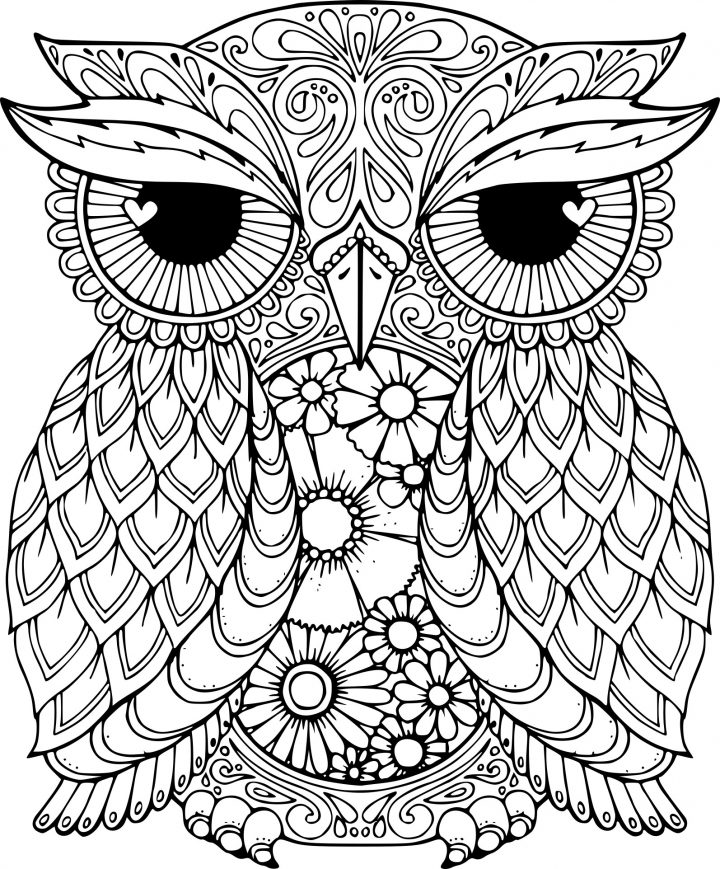 Coloriage Difficile Hibou À Imprimer Sur Coloriages à Hibou A Imprimer