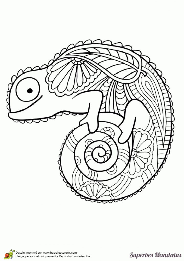 Coloriage D'un Superbe Mandala En Forme De Caméléon concernant Hugo L Escargot Coloriage Mandala