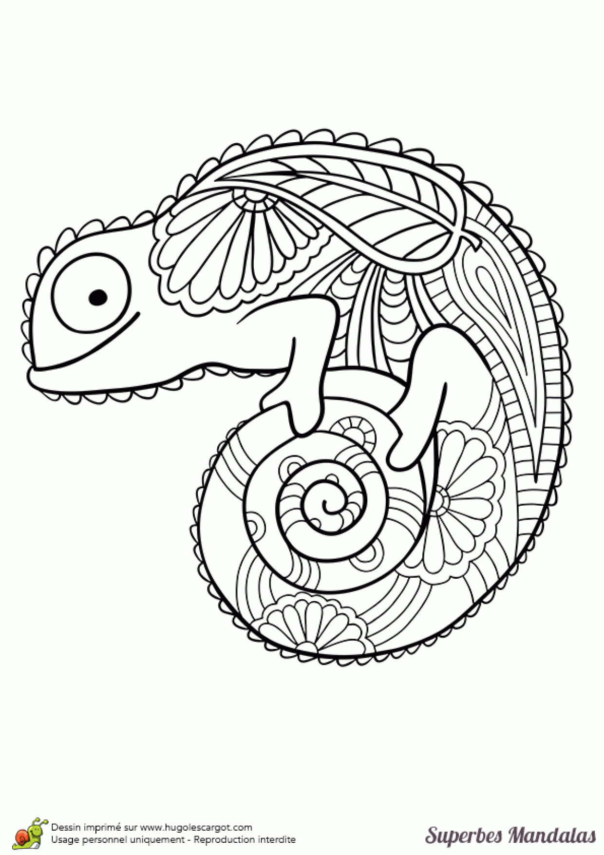 Coloriage D&amp;#039;un Superbe Mandala En Forme De Caméléon concernant Hugo L Escargot Coloriage Mandala 