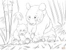 Coloriage - Famile Panda Mignonne | Coloriages À Imprimer dedans Panda À Colorier
