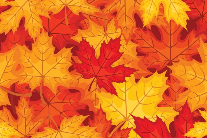 Coloriage Feuilles D'automne Sur Hugolescargot dedans Dessin De Feuille D Automne