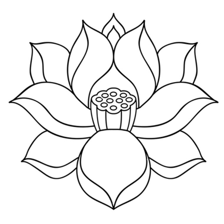 Coloriage Fleur De Lotus Zen En Ligne Gratuit À Imprimer avec Dessin Symétrique A Imprimer