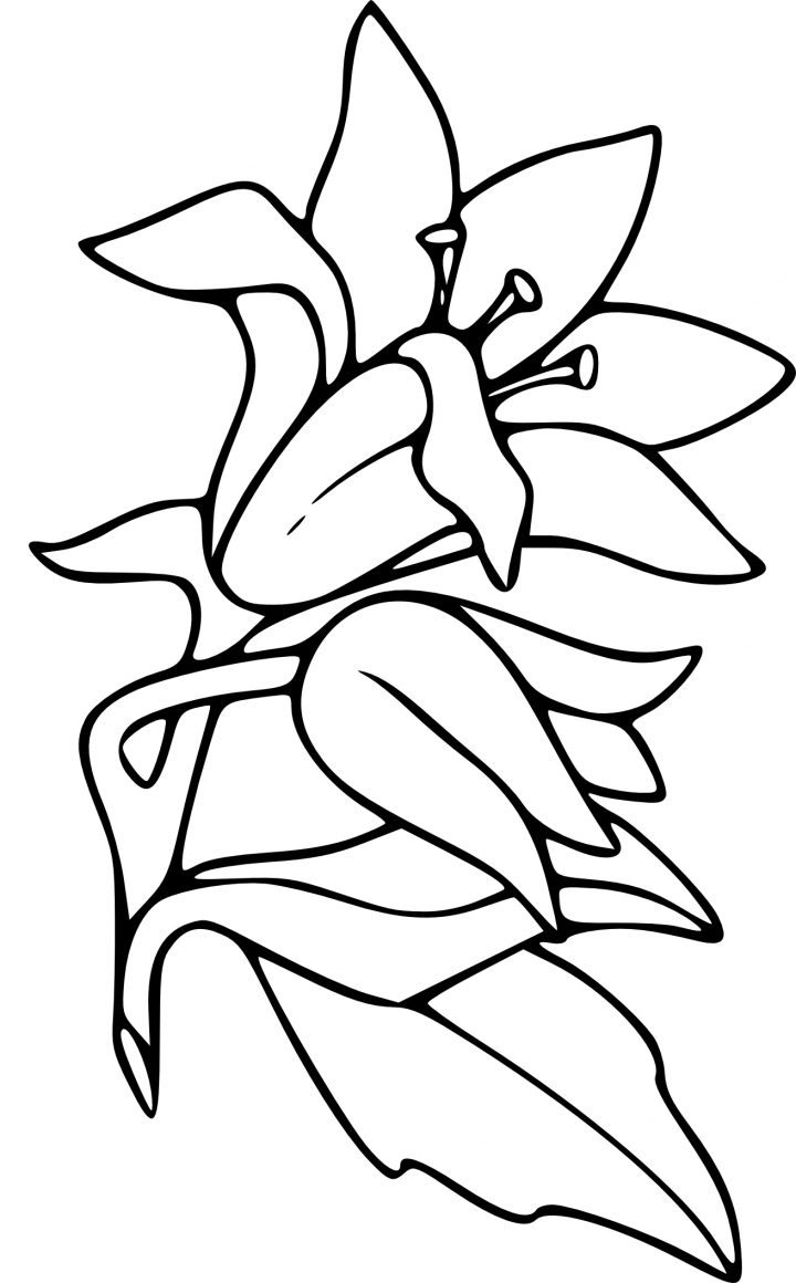 Coloriage Fleur De Lys À Imprimer encequiconcerne Dessin A Colorier De Fleur