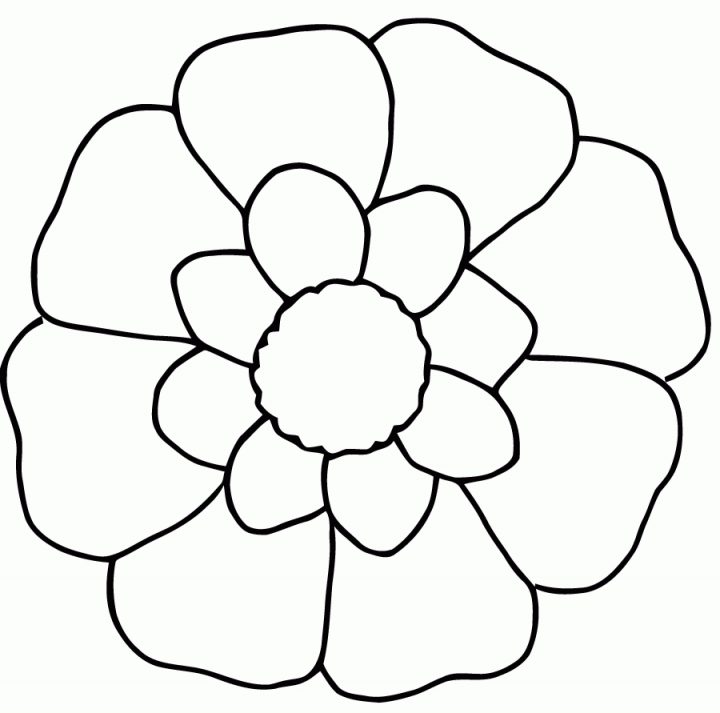 Coloriage Fleurs – Les Beaux Dessins De Nature À Imprimer Et concernant Dessin A Colorier De Fleur