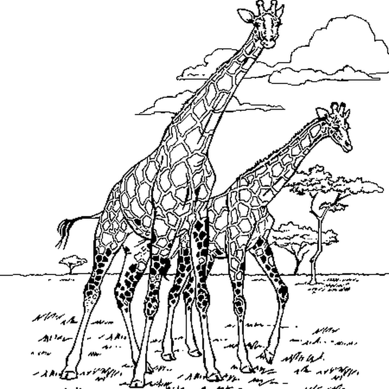 Coloriage Girafe D'afrique En Ligne Gratuit À Imprimer encequiconcerne Jeux De Girafe Gratuit