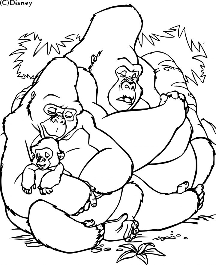 Coloriage Gorilles Tarzan À Imprimer Sur Coloriages concernant Coloriage Gorille