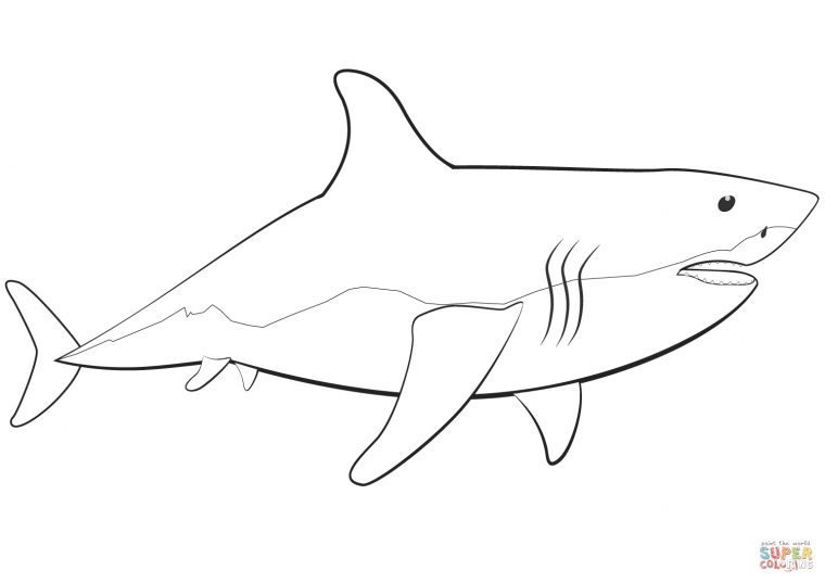 Coloriage – Grand Requin Blanc | Coloriages À Imprimer Gratuits avec Jeux Gratuit Requin Blanc