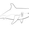 Coloriage - Grand Requin Blanc | Coloriages À Imprimer Gratuits pour Coloriage Requin À Imprimer