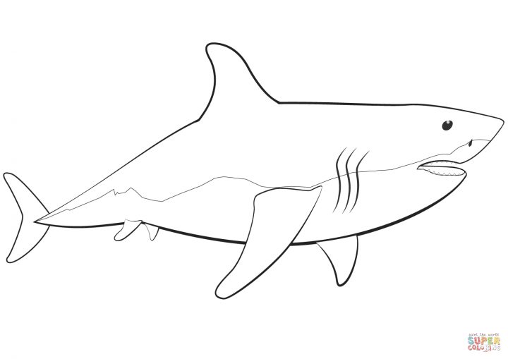 Coloriage – Grand Requin Blanc | Coloriages À Imprimer Gratuits pour Coloriage Requin À Imprimer