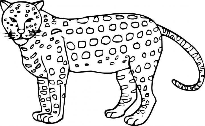 Coloriage Guepard Dessin À Imprimer Sur Coloriages concernant Guépard Dessin