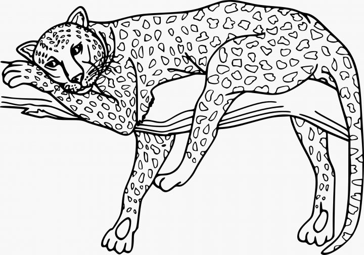 Coloriage Guepard Et Dessin Imprimer | Coloriage Animaux À dedans Guépard Dessin