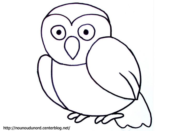 Coloriage Hibou Et Chouette concernant Dessin Hibou Facile