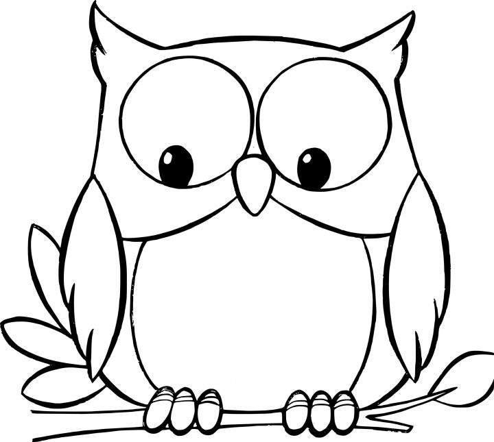 Coloriage Hibou Marrant À Imprimer encequiconcerne Dessiner Un Hibou