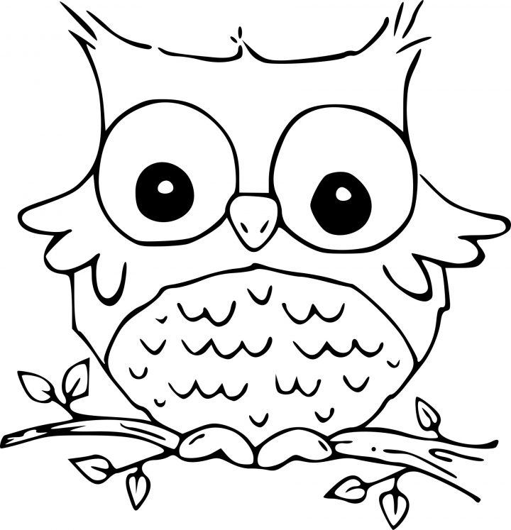 Coloriage Hibou Marrant À Imprimer Sur Coloriages concernant Hibou A Imprimer