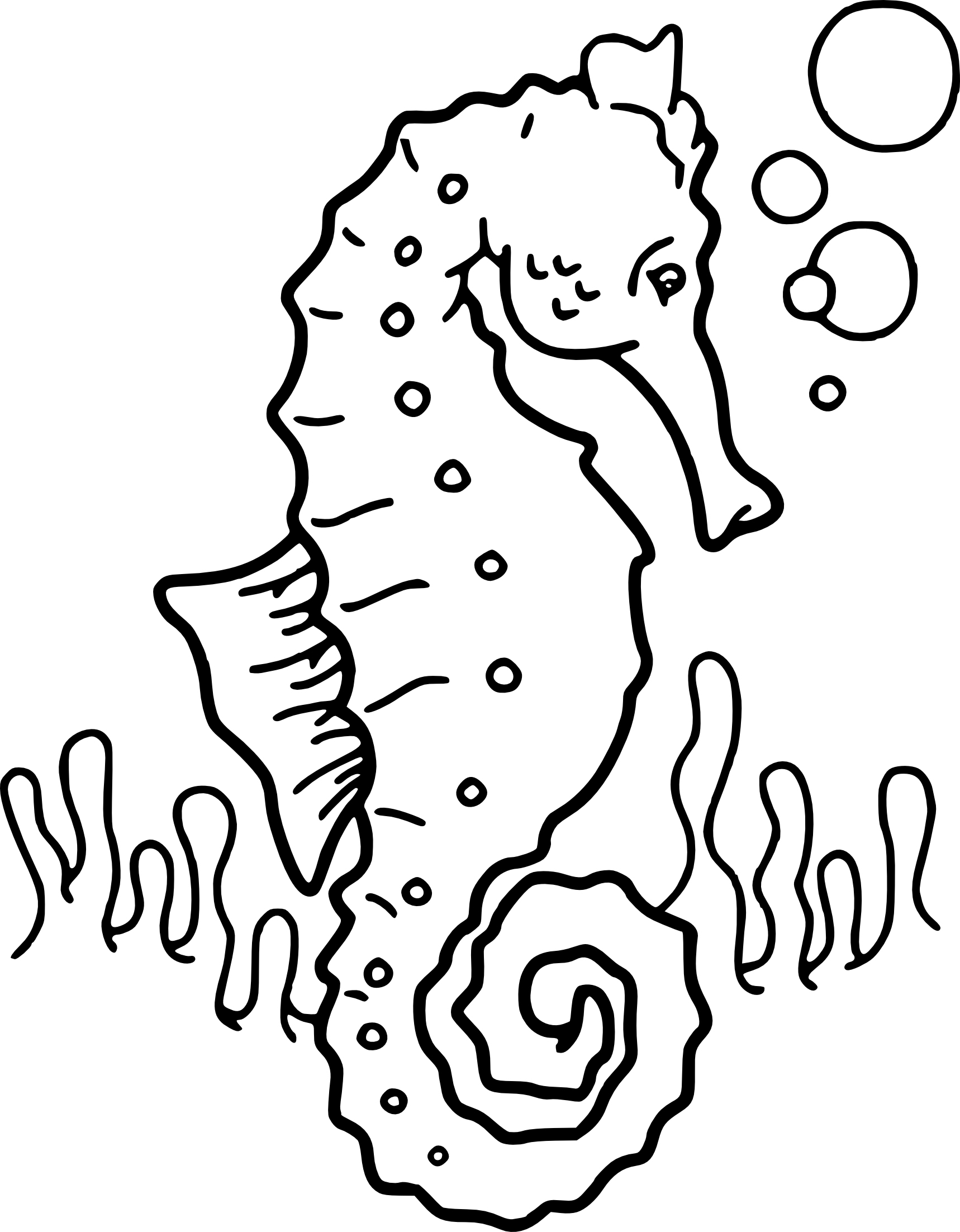 Coloriage Hippocampe (Cheval De Mer) À Imprimer Et Colorier concernant Coloriage Sur La Mer À Imprimer