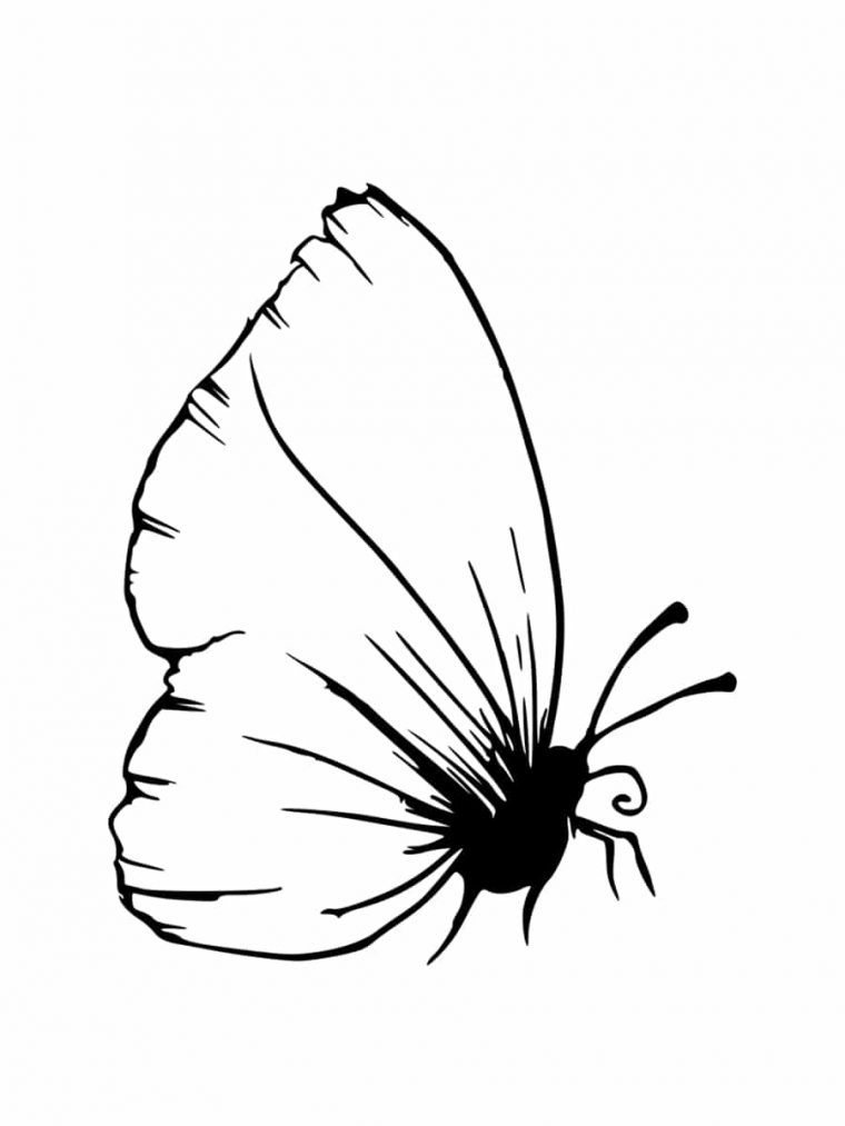 Coloriage Insecte : Dessins À Imprimer Gratuitement tout Dessin Papillon À Colorier