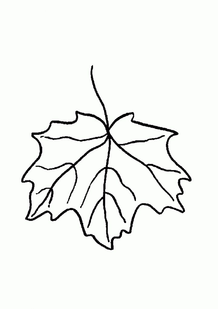 Coloriage La Feuille Tombant De Son Arbre à Dessin De Feuille D Arbre À Imprimer