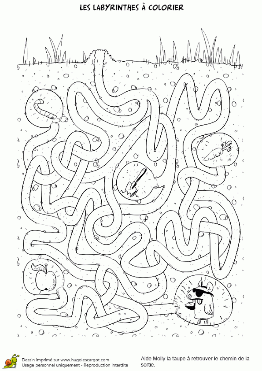 Coloriage Labyrinthe De Molly La Taupe Sur Hugolescargot avec Labyrinthe A Imprimer