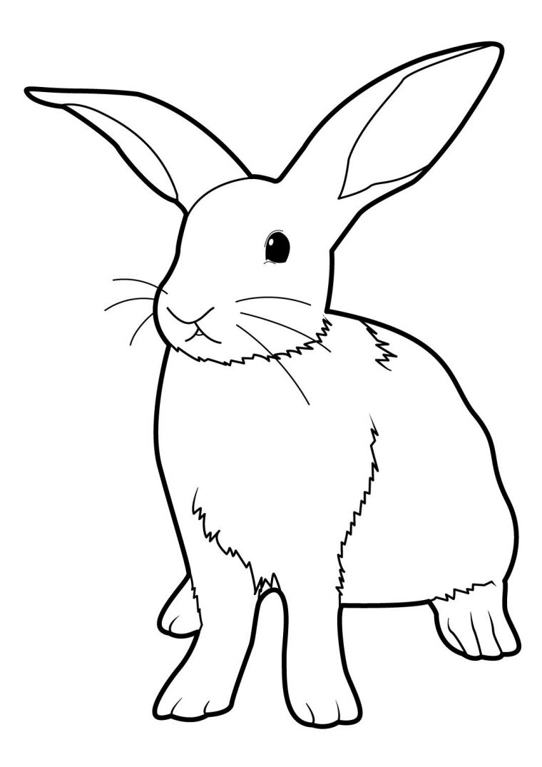 Coloriage Lapin À Colorier – Dessin À Imprimer | Coloriage concernant Dessin De Lapin A Imprimer