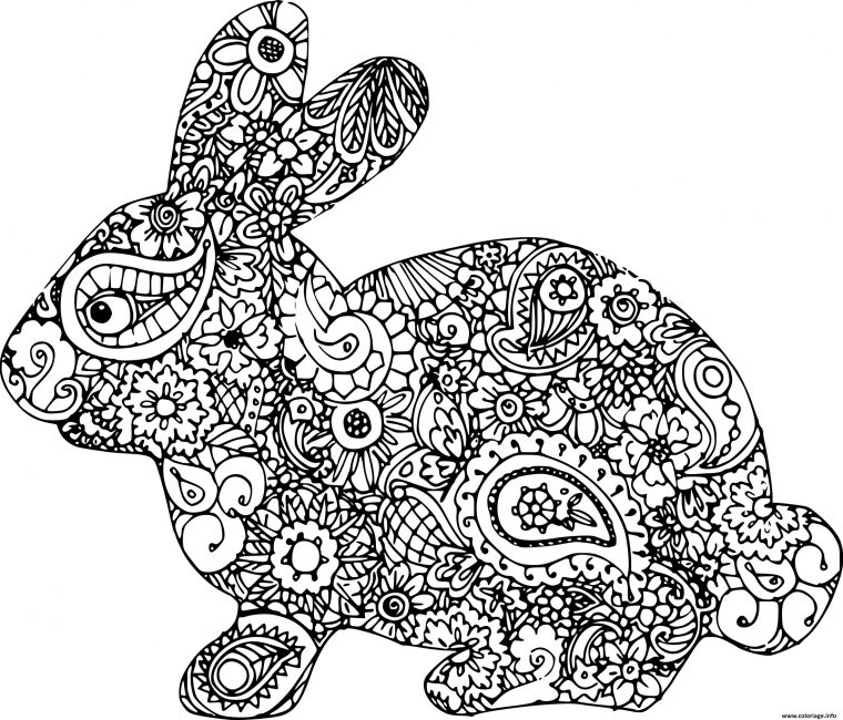 Coloriage Lapin Mandala Dessin avec Dessin De Lapin A Imprimer