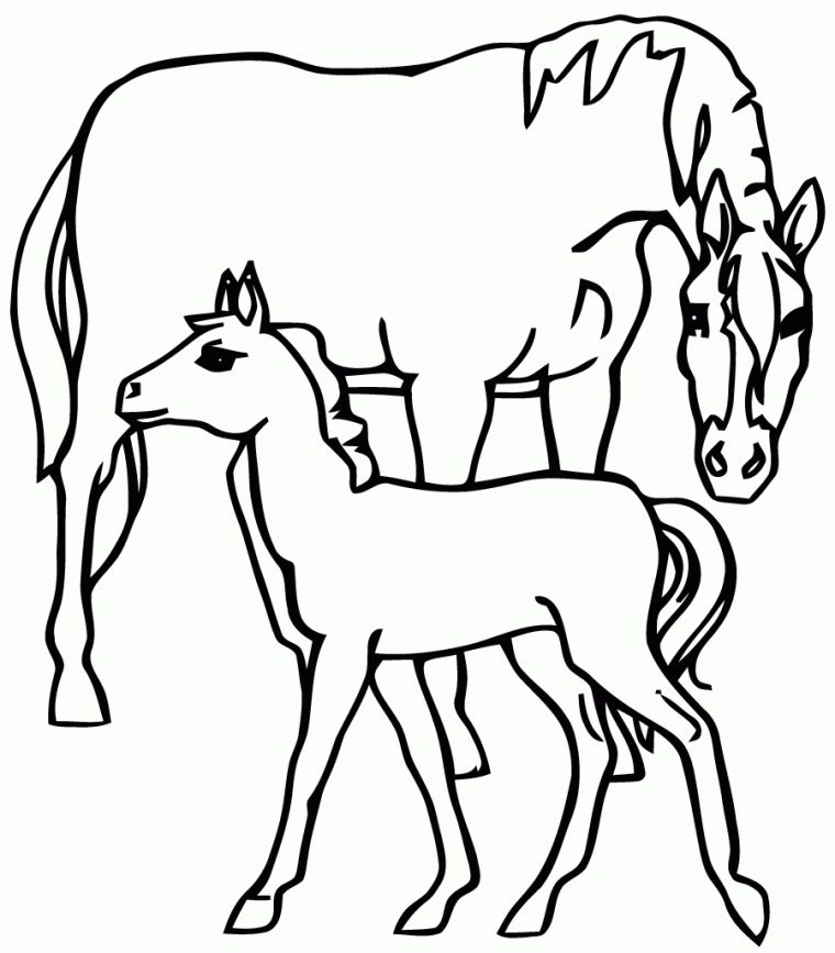 Coloriage Le Cheval à Image De Cheval A Colorier