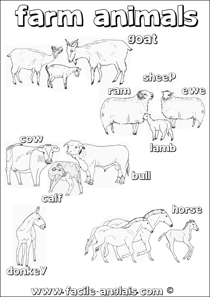 Coloriage Les Animaux – Les Beaux Dessins De Meilleurs avec Dessin Animaux De La Ferme À Imprimer