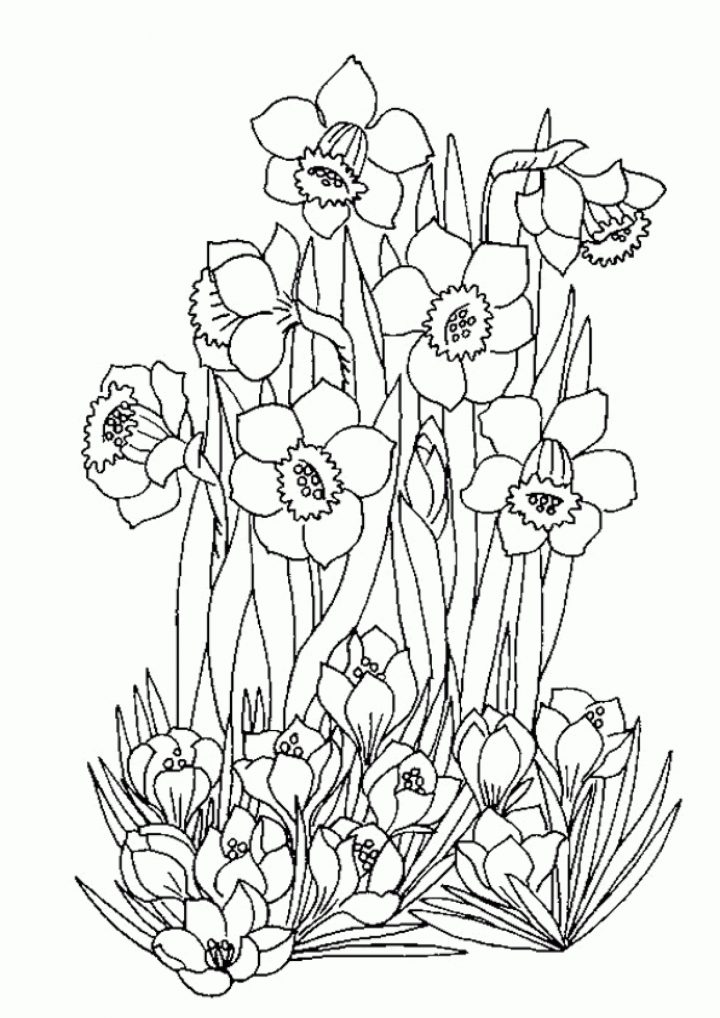 Coloriage Les Fleurs Du Printemps intérieur Dessin A Colorier De Fleur