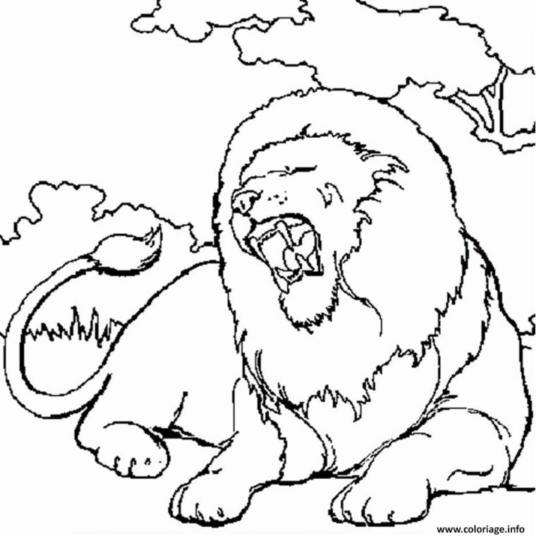 Coloriage Lion En Afrique Dessin tout Dessin Africain A Colorier