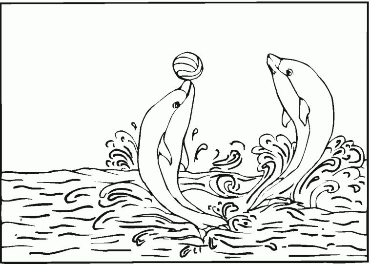 Coloriage Magique Dauphin Imprimer – 1001 Animaux destiné Dessin Dauphin À Imprimer