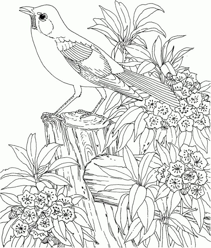 Coloriage Magique Difficile 4Eme dedans Coloriage Magique Dur