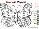 Coloriage Magique : Un Papillon destiné Coloriage Codé Gs