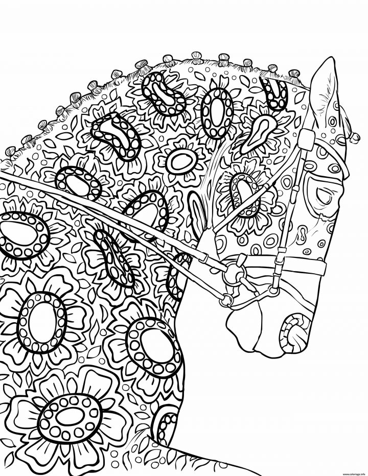 Coloriage Magnifique Cheval Pour Adulte Mandala Dessin avec Dessin A Imprimer Pour Adulte