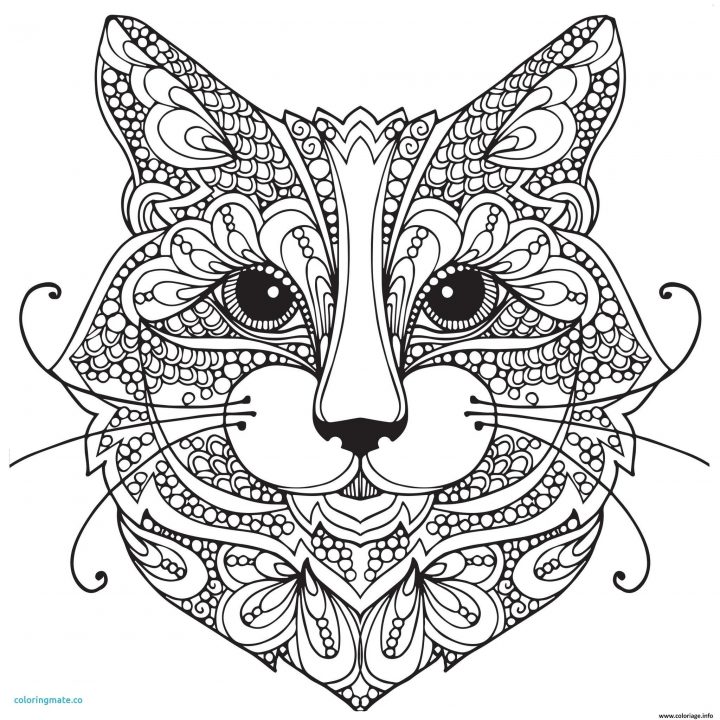 Coloriage Mandala Chaton Unique Dessin De Chaton Dessin dedans Mandala À Colorier Et À Imprimer Gratuit