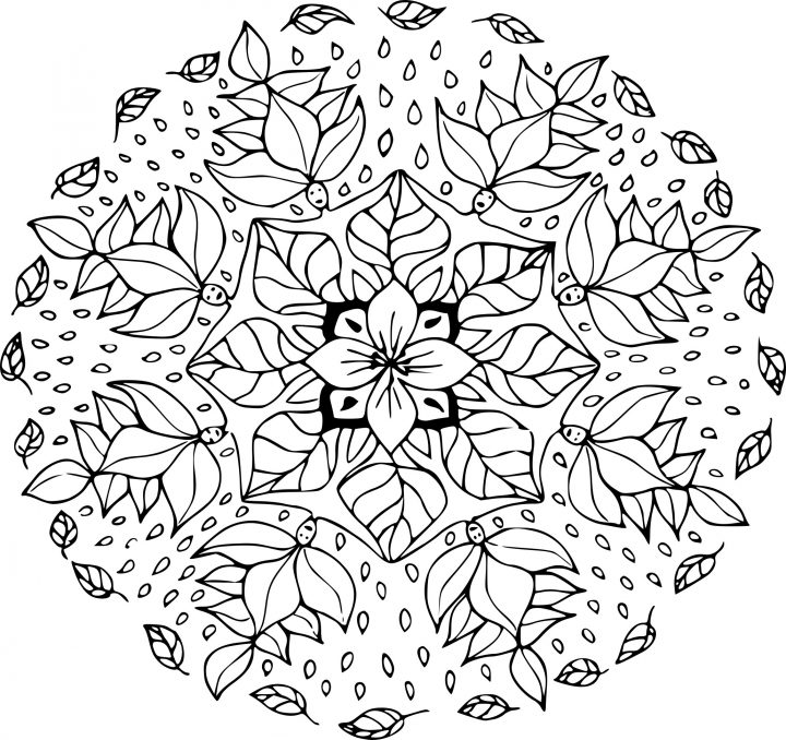 Coloriage Mandala Feuille D'automne À Imprimer Sur à Dessin De Feuille D Automne