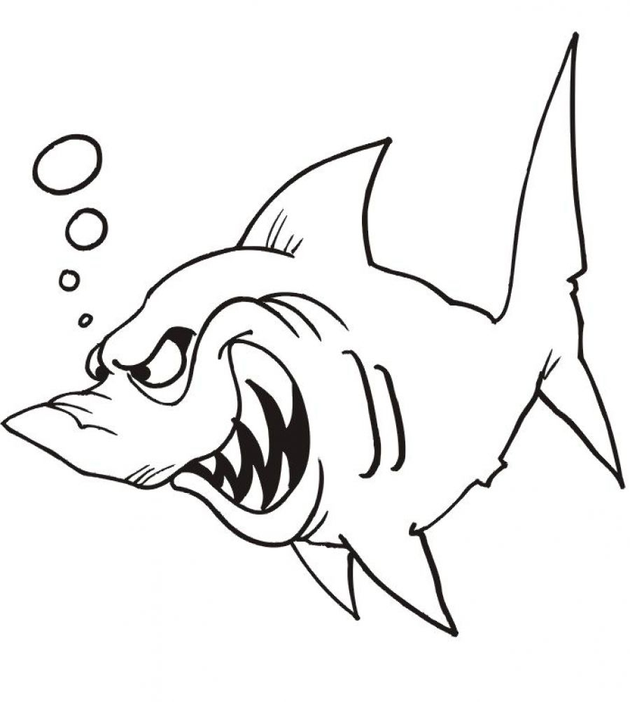 Coloriage Méchant Requin À Imprimer Et Colorier à Coloriage Requin Blanc Imprimer