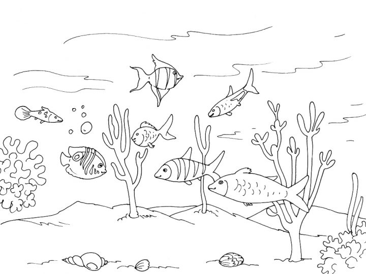 Coloriage Mer – Les Beaux Dessins De Nature À Imprimer Et concernant Coloriage Sur La Mer À Imprimer