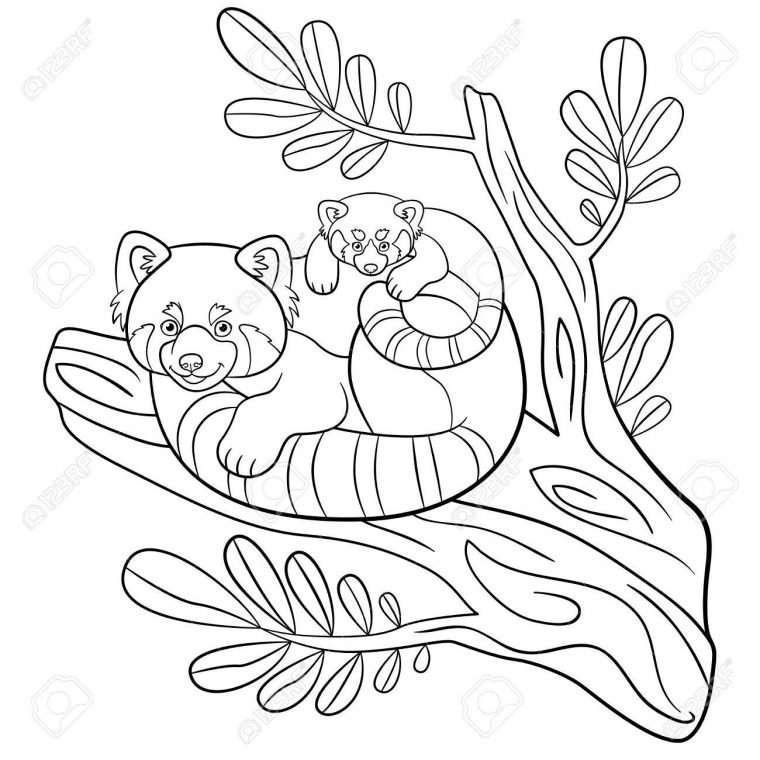 Coloriage. Mère Panda Rouge Est Assis Sur La Branche D'arbre Avec Son Petit  Bébé Et Sourires Mignon. encequiconcerne Panda À Colorier