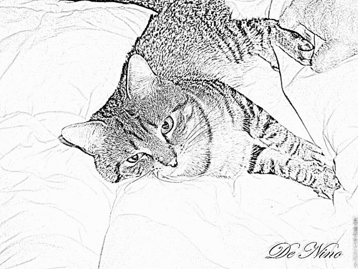 Coloriage Minou Minou À Imprimer Pour Les Enfants – Dessin intérieur Minou Dessin