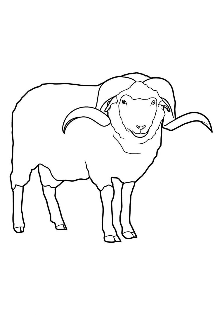 Coloriage Mouton 14 – Coloriage Moutons – Coloriages Animaux serapportantà Photo De Mouton A Imprimer