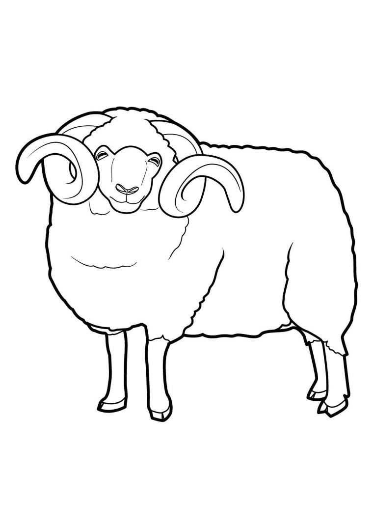 Coloriage Mouton A Imprimer 16 | Coloriage Mouton, Image concernant Photo De Mouton A Imprimer