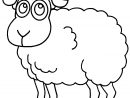 Coloriage Mouton - Les Beaux Dessins De Animaux À Imprimer tout Photo De Mouton A Imprimer