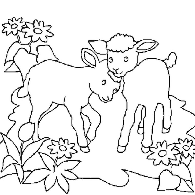 Coloriage Moutons En Ligne Gratuit À Imprimer tout Photo De Mouton A Imprimer