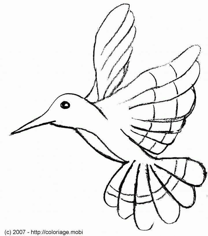 Coloriage Oiseau – Les Beaux Dessins De Animaux À Imprimer concernant Dessin D Oiseau Simple