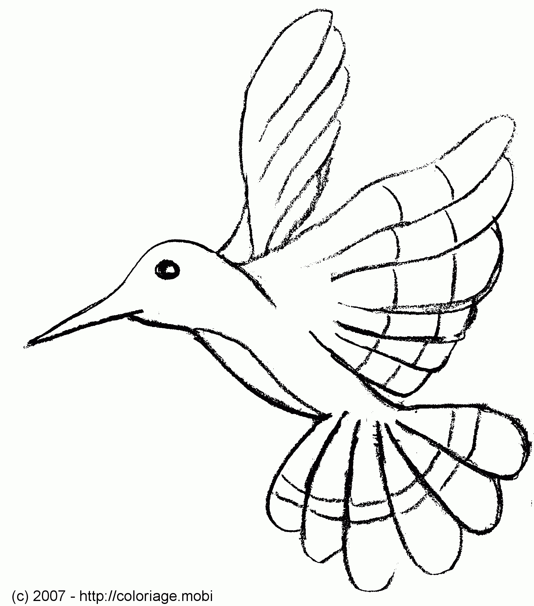 Coloriage Oiseau - Les Beaux Dessins De Animaux À Imprimer concernant Dessin D Oiseau Simple