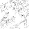 Coloriage Oiseaux - Les Beaux Dessins De Nature À Imprimer avec Coloriage A4 Imprimer Gratuit