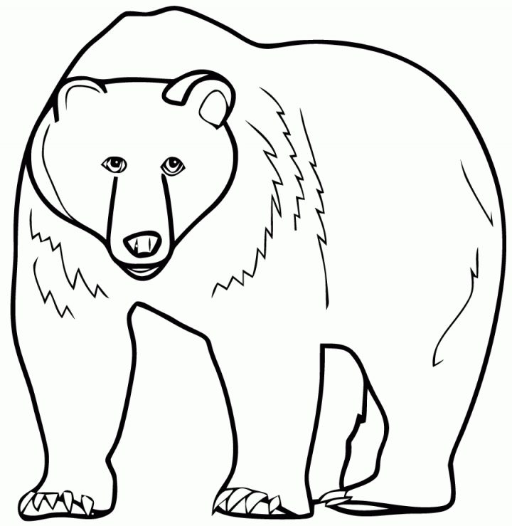 Coloriage Ours Brun À Imprimer Sur Coloriages avec Coloriage De Petit Ours Brun