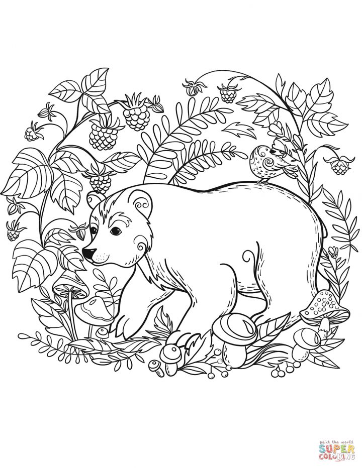 Coloriage – Ours Brun | Coloriages À Imprimer Gratuits pour Coloriage De Petit Ours Brun